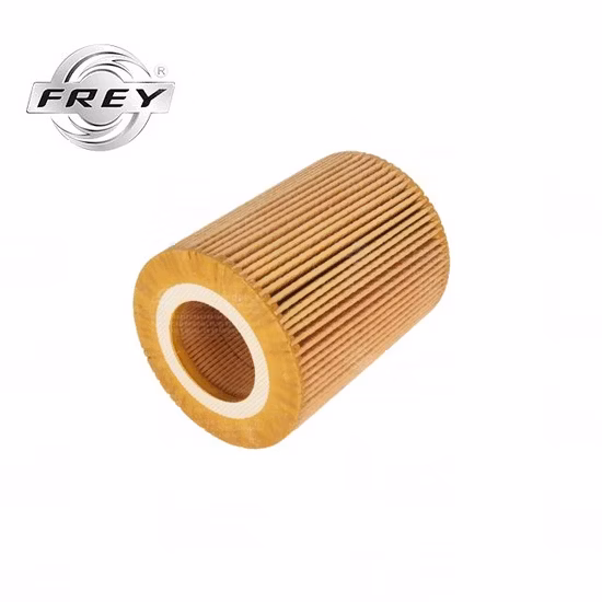 Filtre à huile moteur Hu925/4X, pour BMW 325ci 330ci X3 X5 Z4 Z3 325I 325xi E36 Z3 E46 E60 E83 11427512300